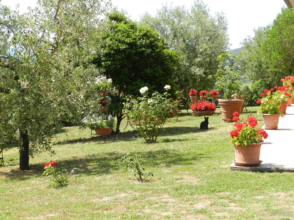 Agriturismo Severini Fonteblanda Exteriör bild