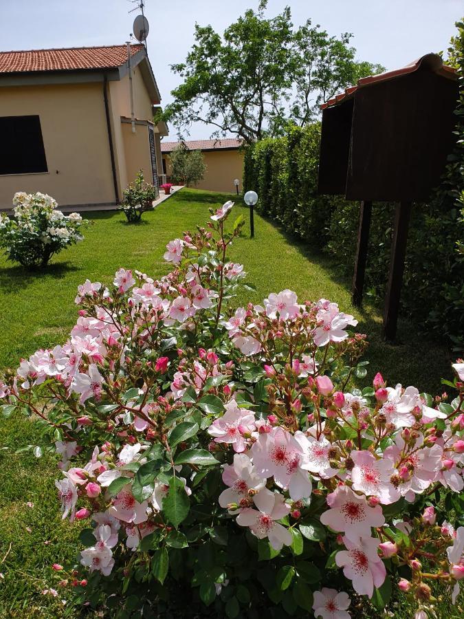Agriturismo Severini Fonteblanda Exteriör bild